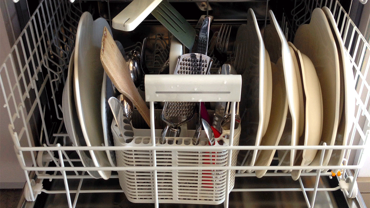 30101455-e549-49b5-9398-b57f795ea960.gif