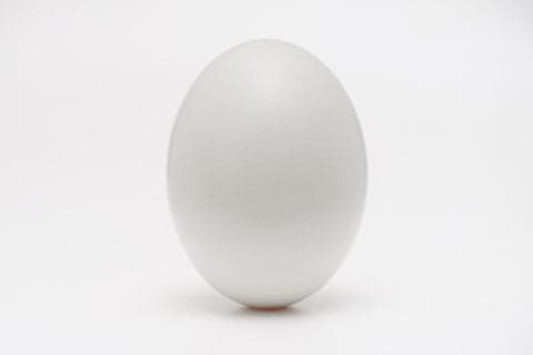 oeuf