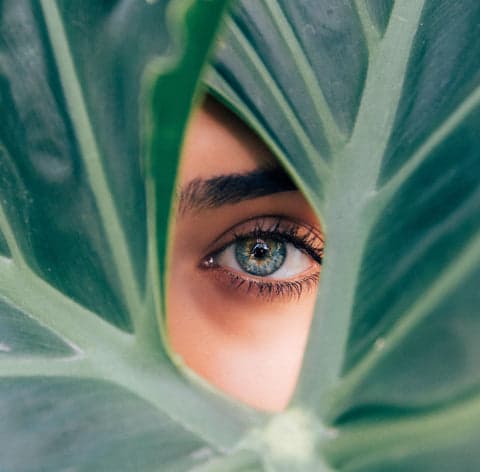 oeil nature