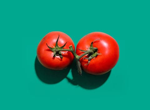 tomates