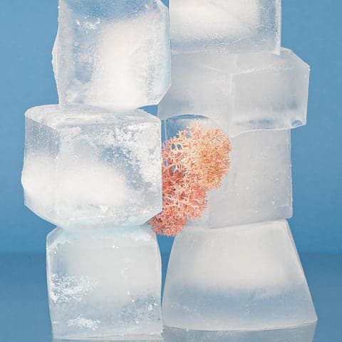 glaçons