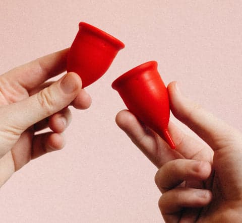 cup