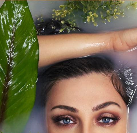 soin cheveux thé vert