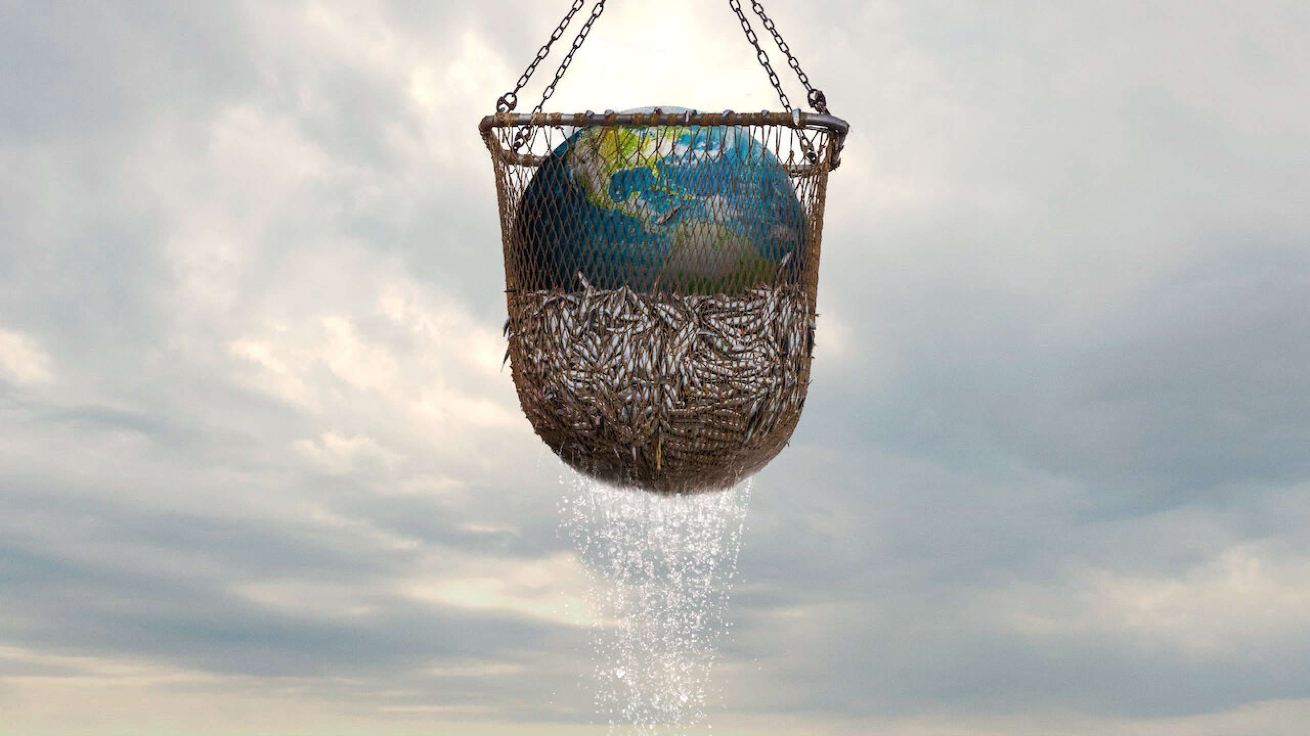 Seaspiracy (2021) | Film, Trailer, Kritik