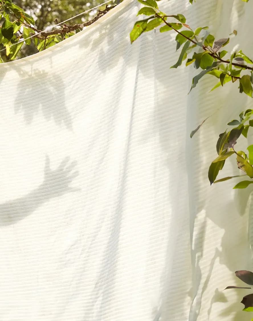 Lessive & soin du linge