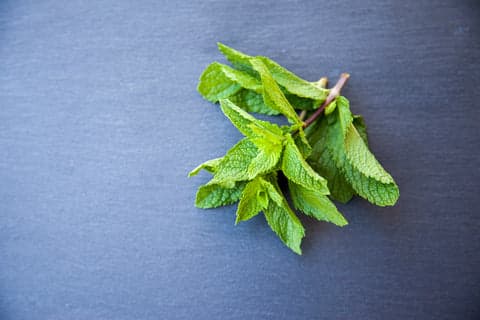 menthe exfoliant