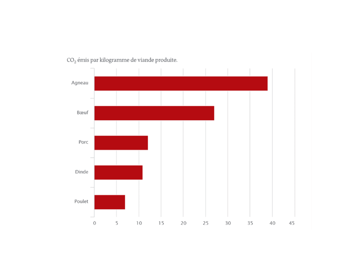 spring-graphique-empreinte-carbone