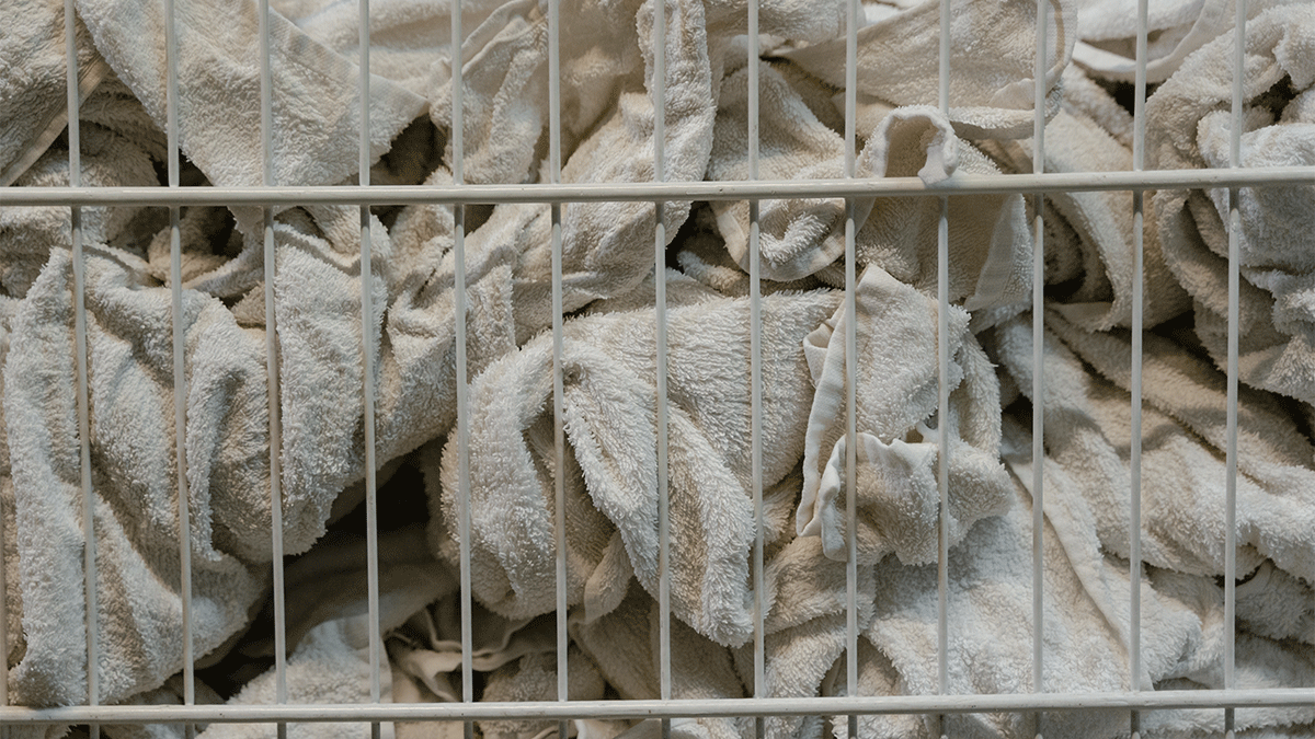 8a624e80-8917-4219-8083-45f6e16706b7.gif